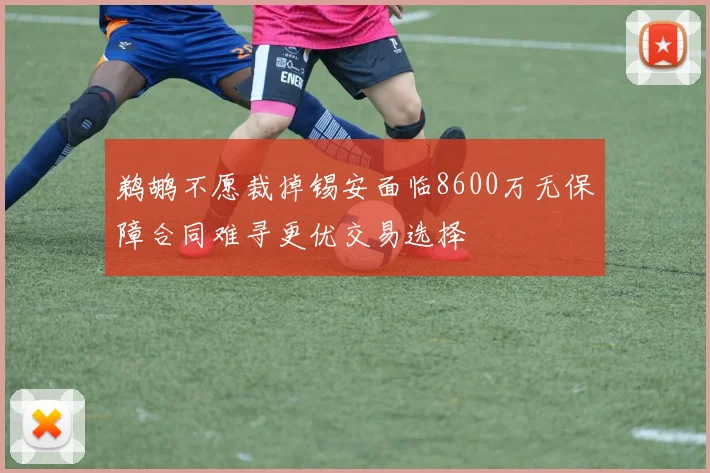 鹈鹕不愿裁掉锡安面临8600万无保障合同难寻更优交易选择