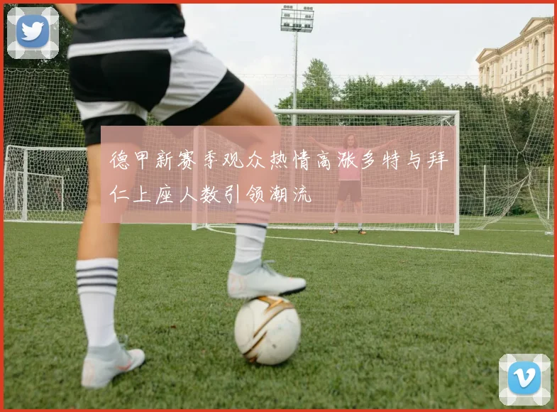 德甲新赛季观众热情高涨多特与拜仁上座人数引领潮流