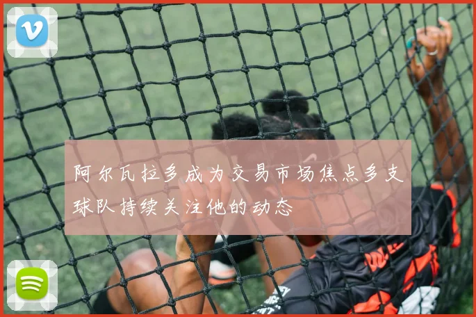 阿尔瓦拉多成为交易市场焦点多支球队持续关注他的动态